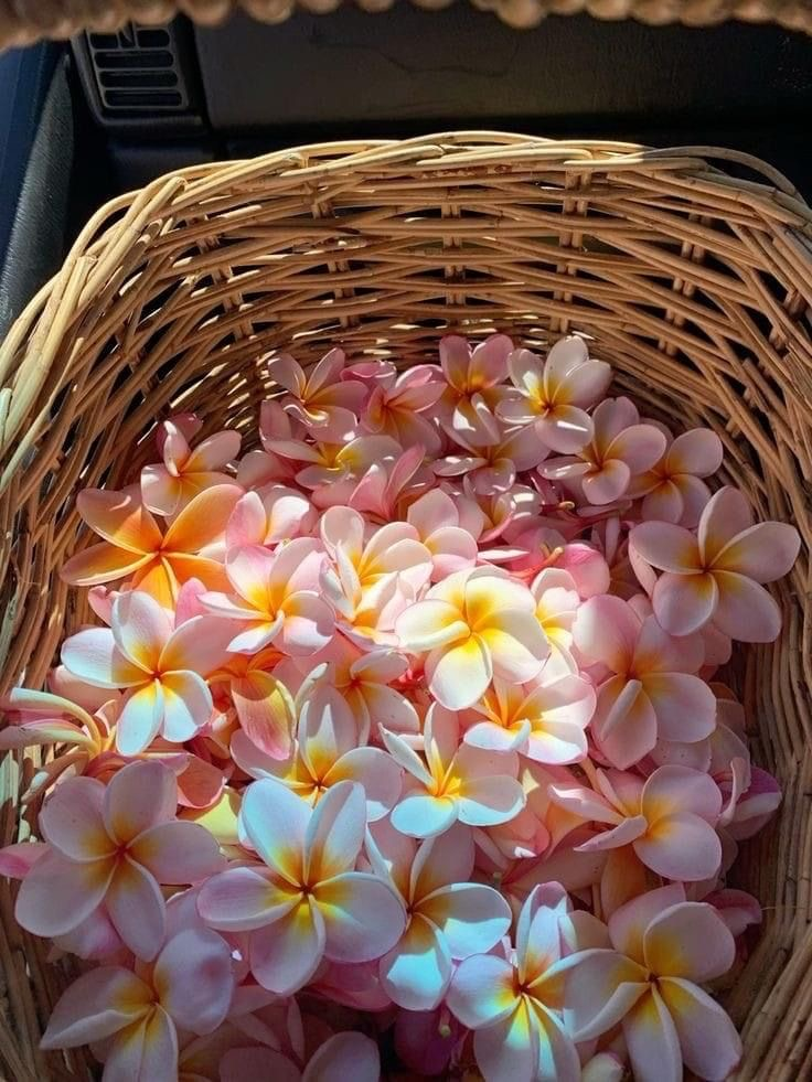 Tous nos produits