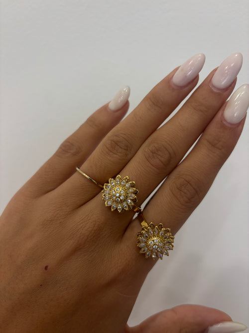 Bague ANTI STRESS 24€